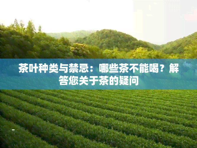 茶叶种类与禁忌：哪些茶不能喝？解答您关于茶的疑问