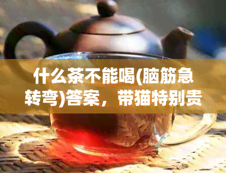 什么茶不能喝(脑筋急转弯)答案，带猫特别贵的脑筋急转弯