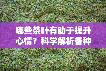 哪些茶叶有助于提升心情？科学解析各种茶对情绪的影响