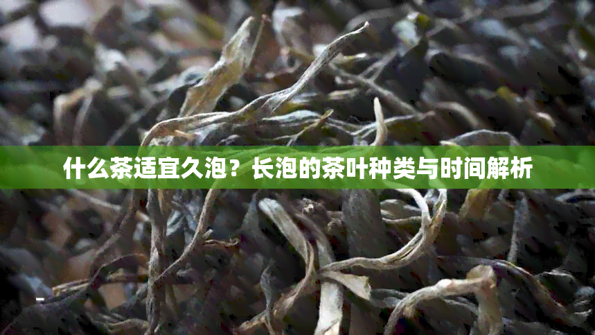 什么茶适宜久泡？长泡的茶叶种类与时间解析