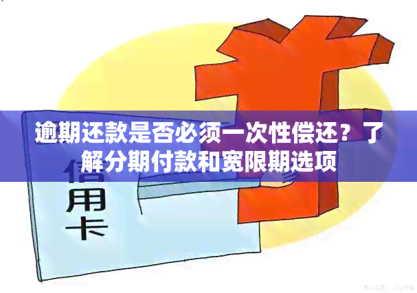 逾期还款是否必须一次性偿还？了解分期付款和宽限期选项