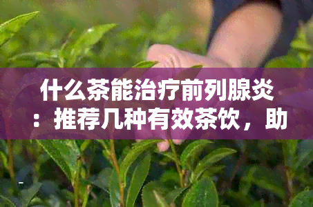 什么茶能治疗前列腺炎：推荐几种有效茶饮，助您缓解炎症症状。