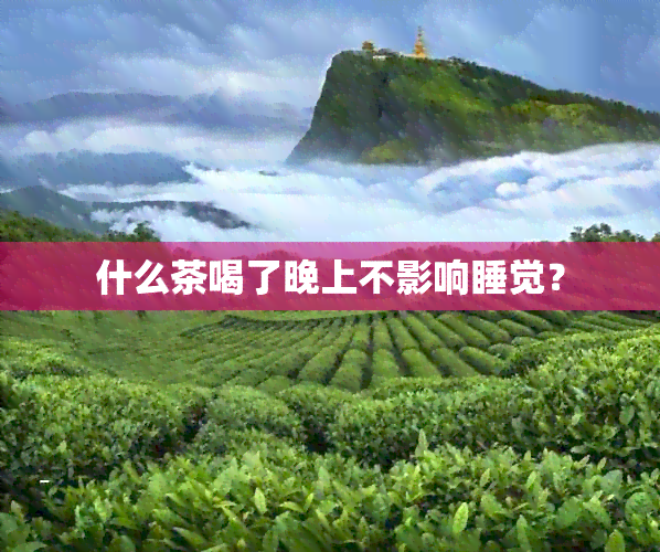 什么茶喝了晚上不影响睡觉？