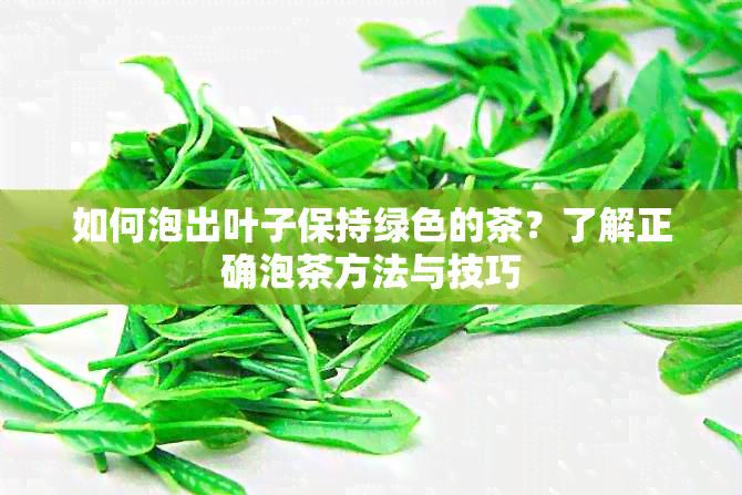 如何泡出叶子保持绿色的茶？了解正确泡茶方法与技巧