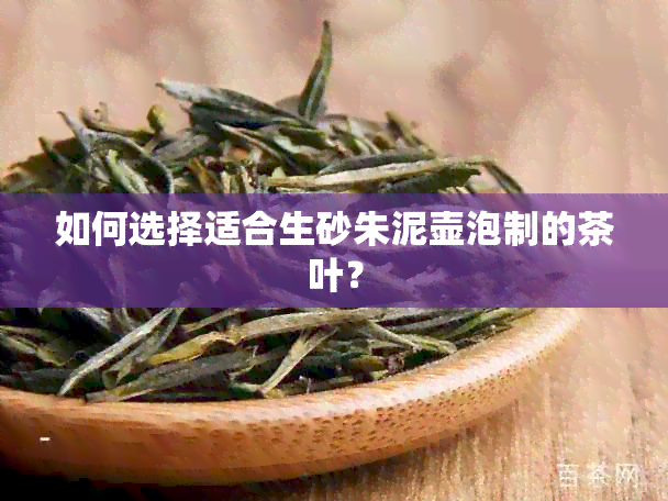 如何选择适合生砂朱泥壶泡制的茶叶？