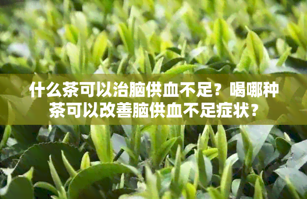 什么茶可以治脑供血不足？喝哪种茶可以改善脑供血不足症状？