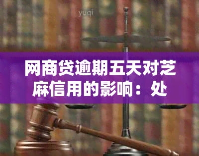 网商贷逾期五天对芝麻信用的影响：处理建议与解答