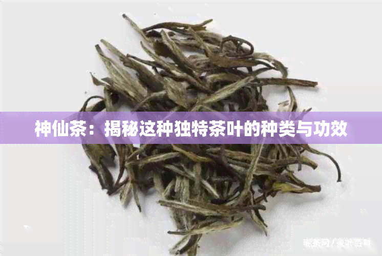 神仙茶：揭秘这种独特茶叶的种类与功效