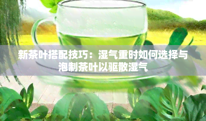 新茶叶搭配技巧：湿气重时如何选择与泡制茶叶以驱散湿气