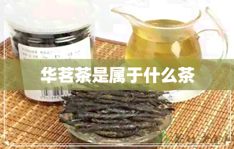 华茗茶是属于什么茶