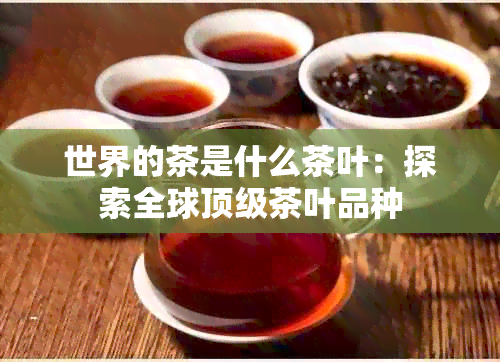 世界的茶是什么茶叶：探索全球顶级茶叶品种