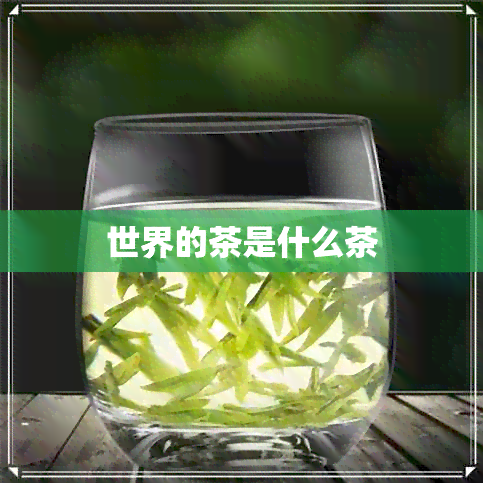 世界的茶是什么茶