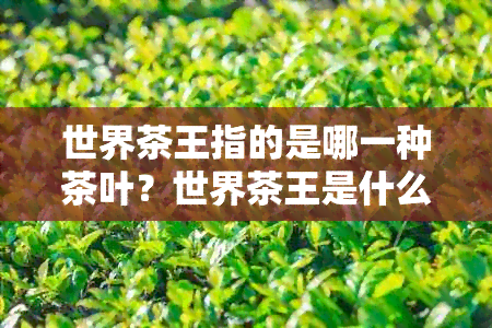 世界茶王指的是哪一种茶叶？世界茶王是什么？还是什么茶叶品种？