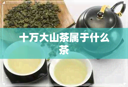 十万大山茶属于什么茶