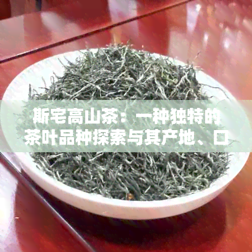 斯宅高山茶：一种独特的茶叶品种探索与其产地、口感、冲泡方法的深入解析