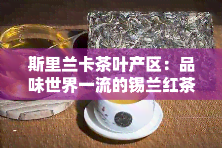 斯里兰卡茶叶产区：品味世界一流的锡兰红茶与绿茶之旅