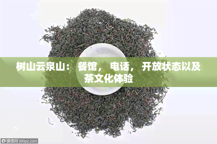 树山云泉山： 餐馆， 电话， 开放状态以及茶文化体验