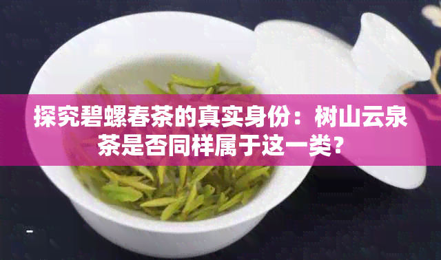 探究碧螺春茶的真实身份：树山云泉茶是否同样属于这一类？