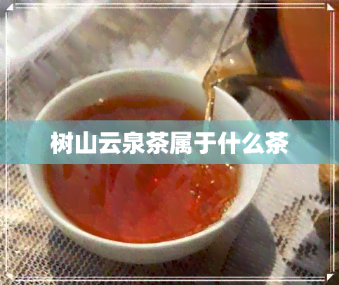 树山云泉茶属于什么茶