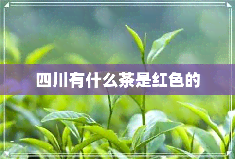 四川有什么茶是红色的