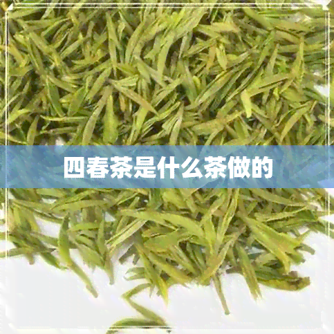 四春茶是什么茶做的