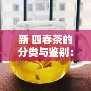 新 四春茶的分类与鉴别：绿茶、红茶还是其他类型？