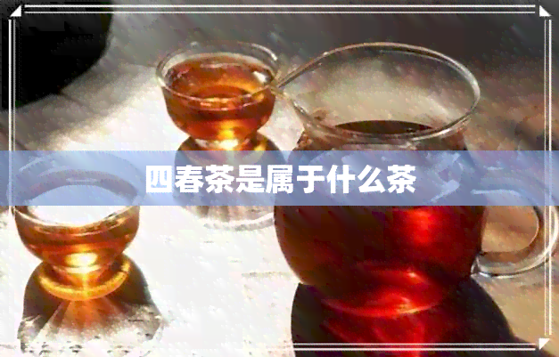 四春茶是属于什么茶