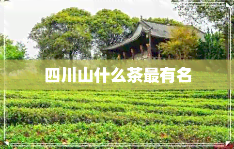 四川山什么茶最有名