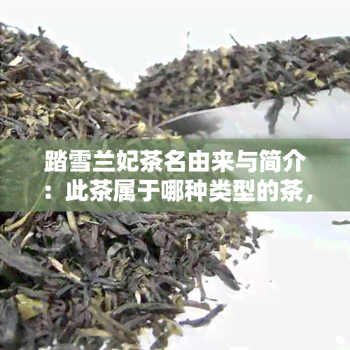 踏雪兰妃茶名由来与简介：此茶属于哪种类型的茶，口感如何？