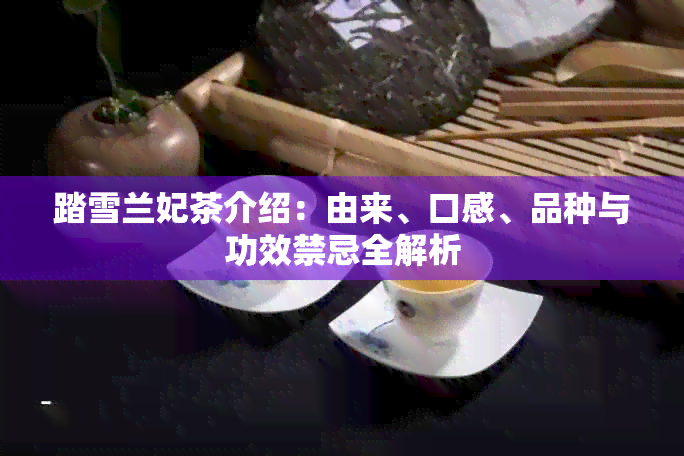 踏雪兰妃茶介绍：由来、口感、品种与功效禁忌全解析