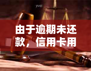 由于逾期未还款，信用卡用户被公安局约谈并采取法律措