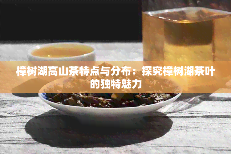 樟树湖高山茶特点与分布：探究樟树湖茶叶的独特魅力