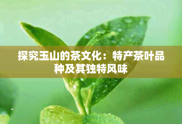 探究玉山的茶文化：特产茶叶品种及其独特风味