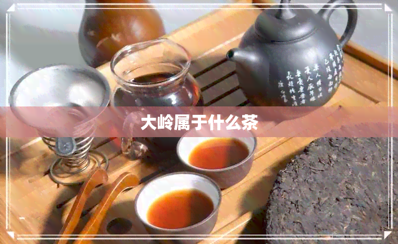 大岭属于什么茶