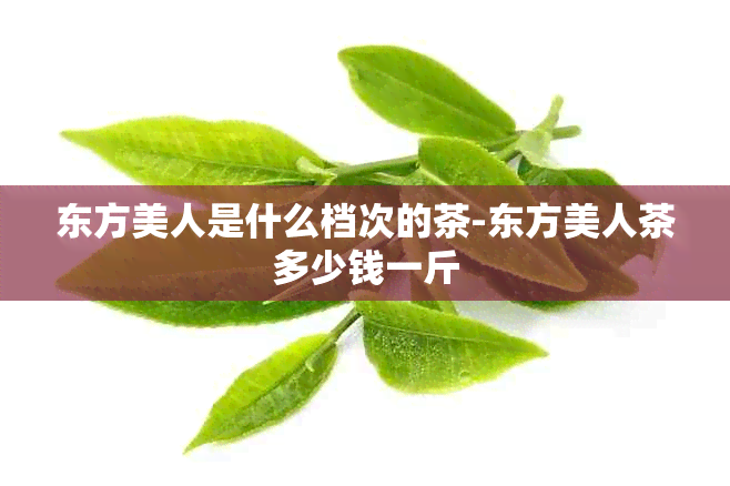 东方美人是什么档次的茶-东方美人茶多少钱一斤