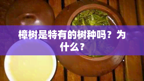 樟树是特有的树种吗？为什么？