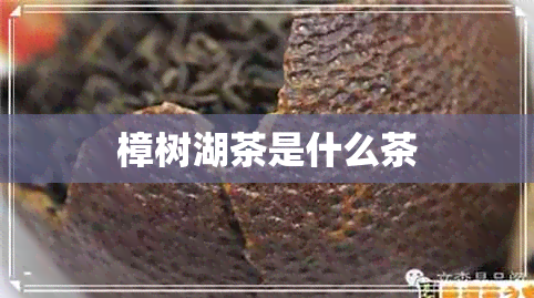 樟树湖茶是什么茶