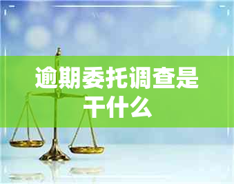 逾期委托调查是干什么