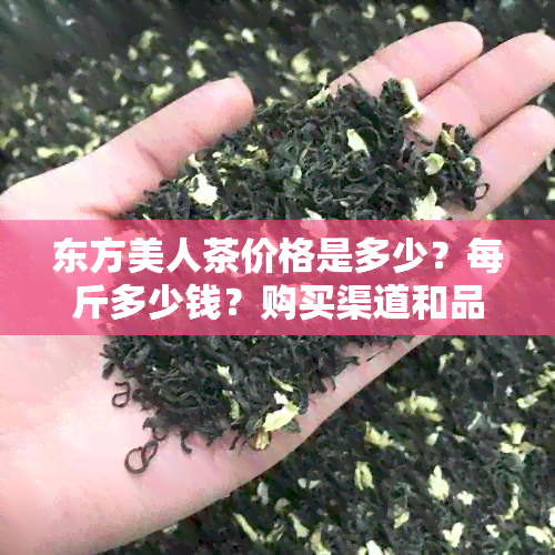 东方美人茶价格是多少？每斤多少钱？购买渠道和品质如何？