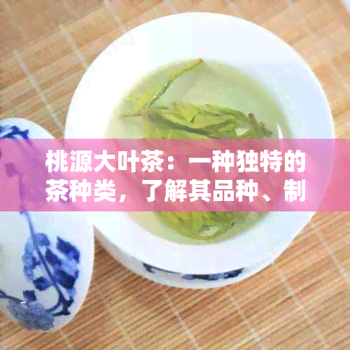 桃源大叶茶：一种独特的茶种类，了解其品种、制作工艺与口感特点