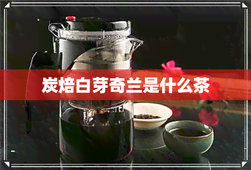 炭焙白芽奇兰是什么茶