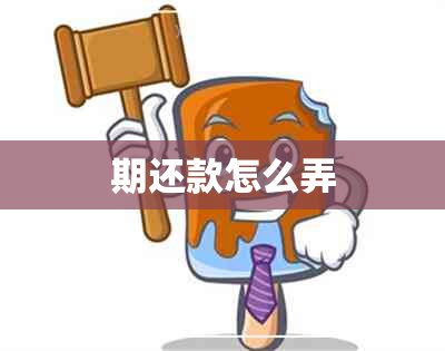 期还款怎么弄