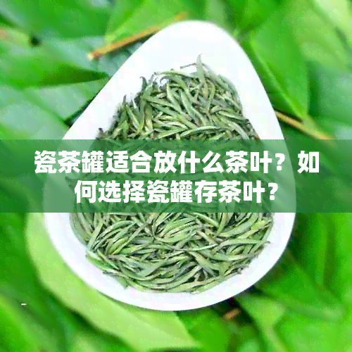 瓷茶罐适合放什么茶叶？如何选择瓷罐存茶叶？