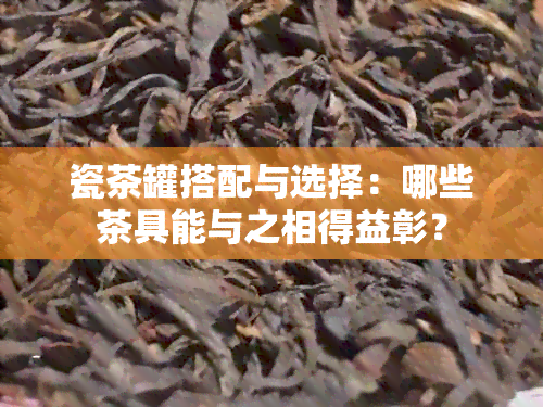 瓷茶罐搭配与选择：哪些茶具能与之相得益彰？