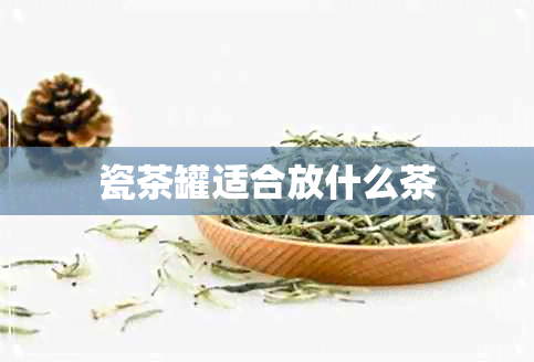 瓷茶罐适合放什么茶