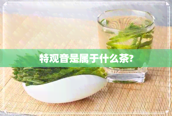 特观音是属于什么茶?