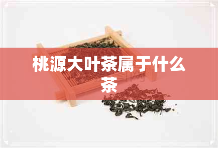 桃源大叶茶属于什么茶