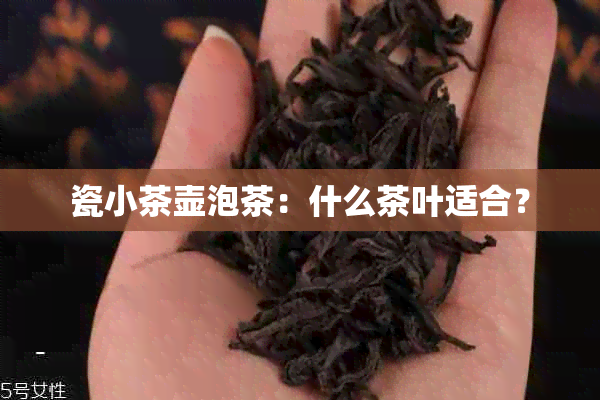 瓷小茶壶泡茶：什么茶叶适合？