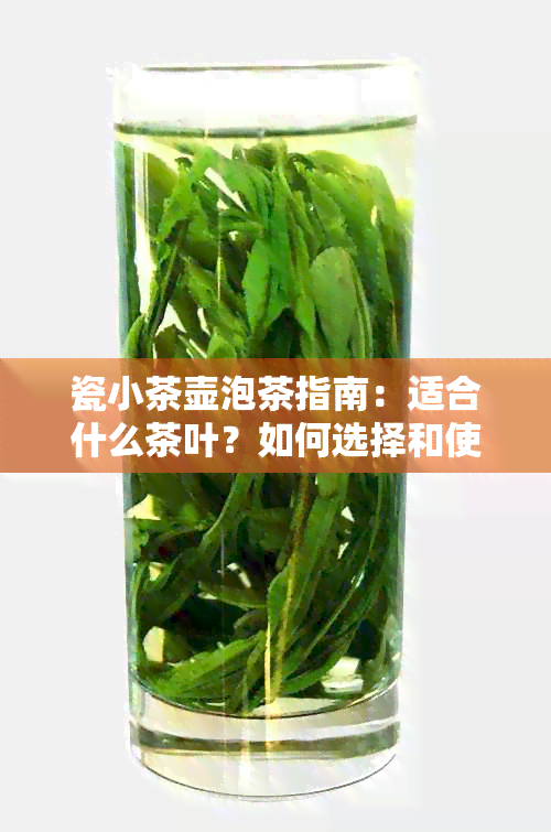 瓷小茶壶泡茶指南：适合什么茶叶？如何选择和使用？