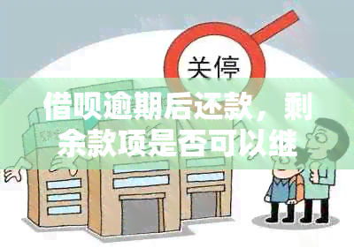 借呗逾期后还款，剩余款项是否可以继续用于还款？如何操作？